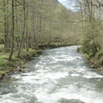 Sortida al riu qualitat de l'aigua i bioindicadors